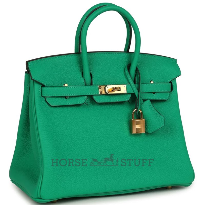Hermès Birkin 25 Menthe Togo GHW