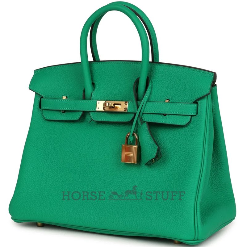 Hermès Birkin 25 Menthe Togo GHW