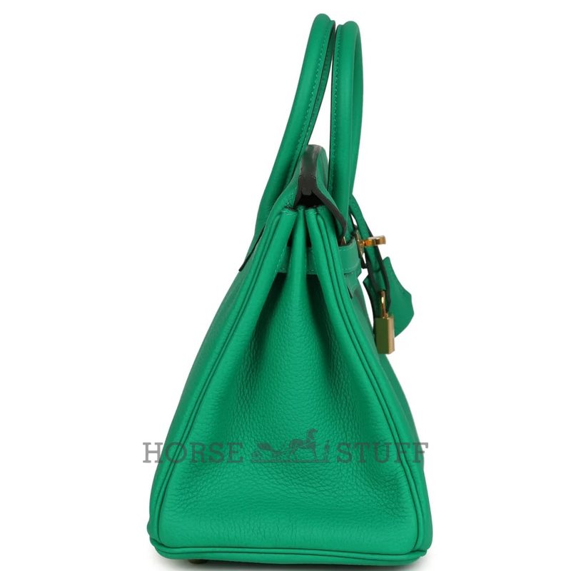 Hermès Birkin 25 Menthe Togo GHW