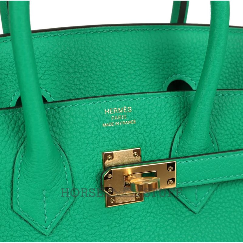 Hermès Birkin 25 Menthe Togo GHW