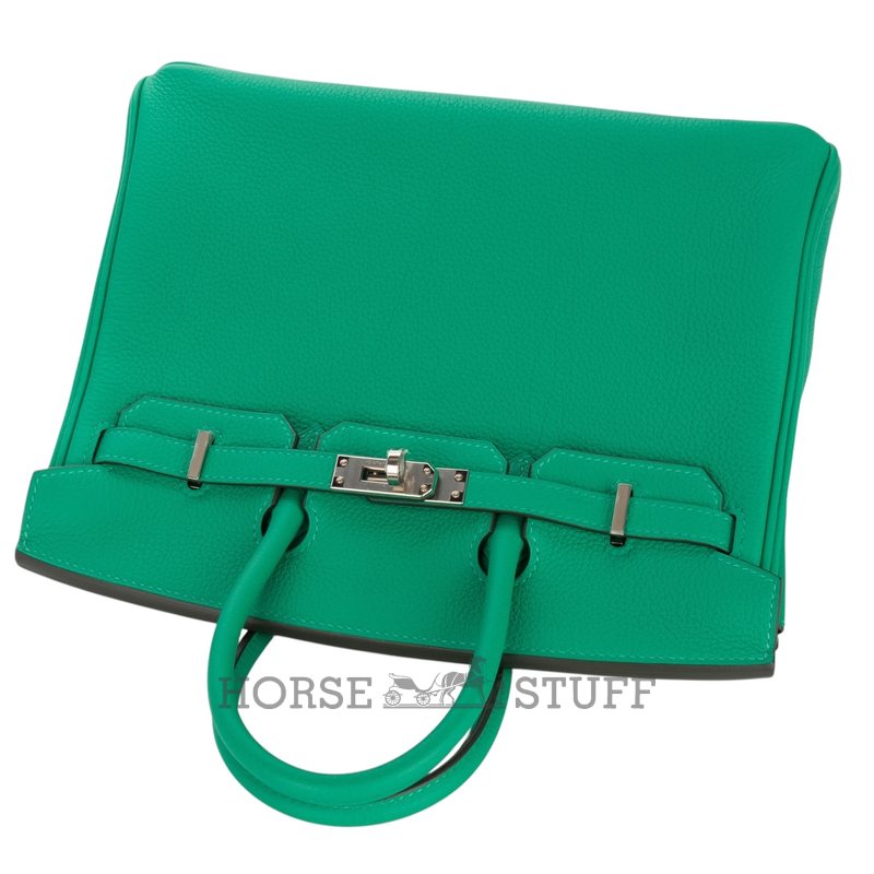 Hermès Birkin 25 Black Togo GHW