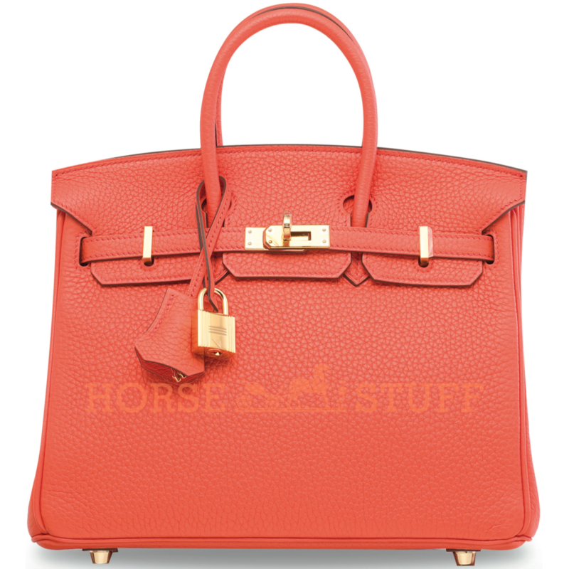 Hermès Birkin 25 Orange Poppy Togo GHW