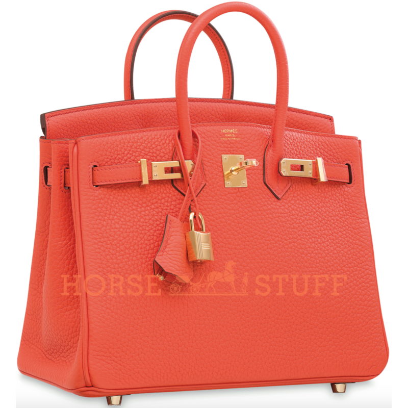 Hermès Birkin 25 Orange Poppy Togo GHW