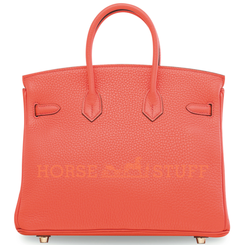 Hermès Birkin 25 Orange Poppy Togo GHW