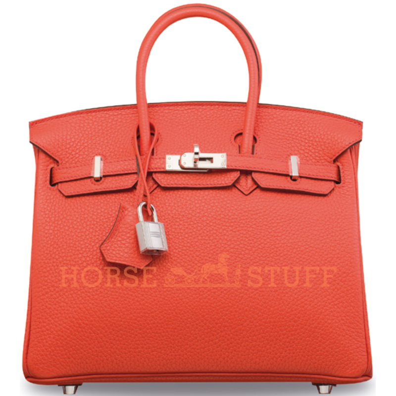 Hermès Birkin 25 Orange Poppy Togo PHW