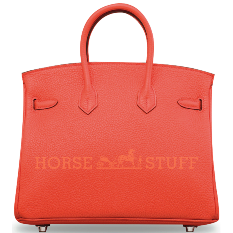 Hermès Birkin 25 Orange Poppy Togo PHW