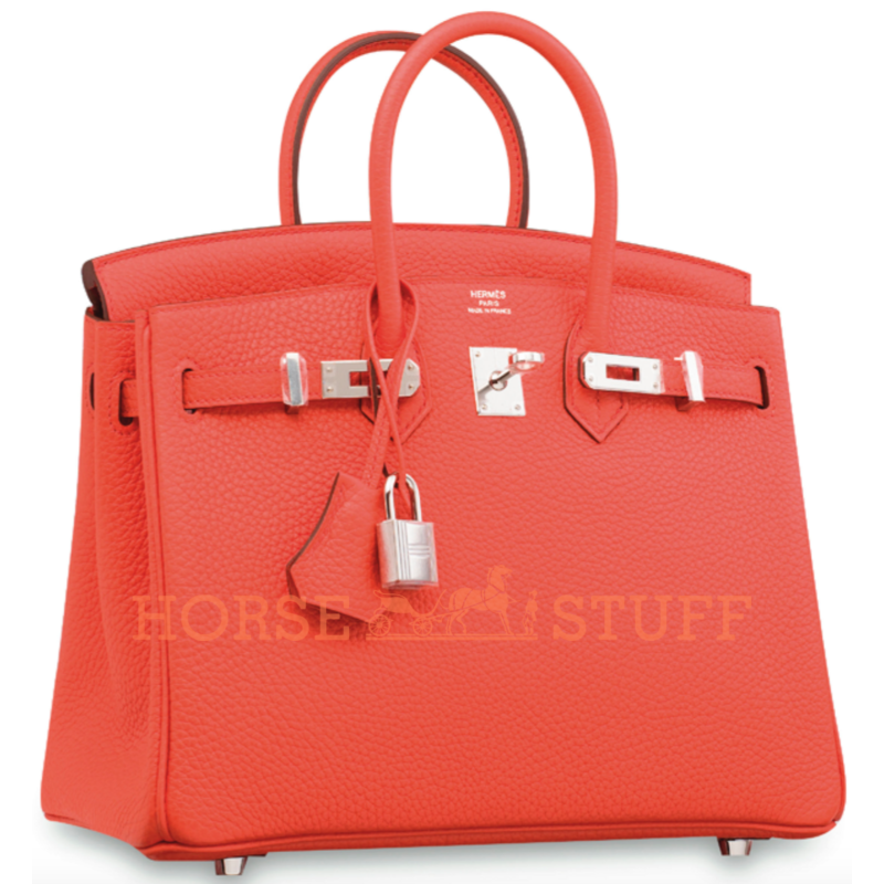 Hermès Birkin 25 Orange Poppy Togo PHW