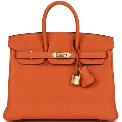 Hermès Birkin 25 Orange Togo GHW