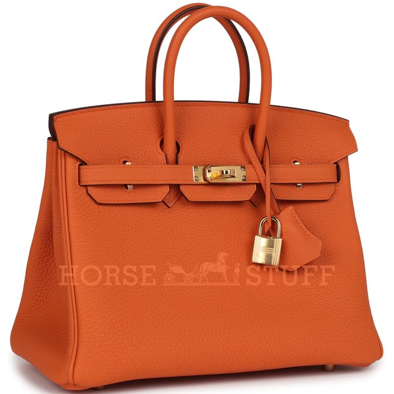 Hermès Birkin 25 Orange Togo GHW