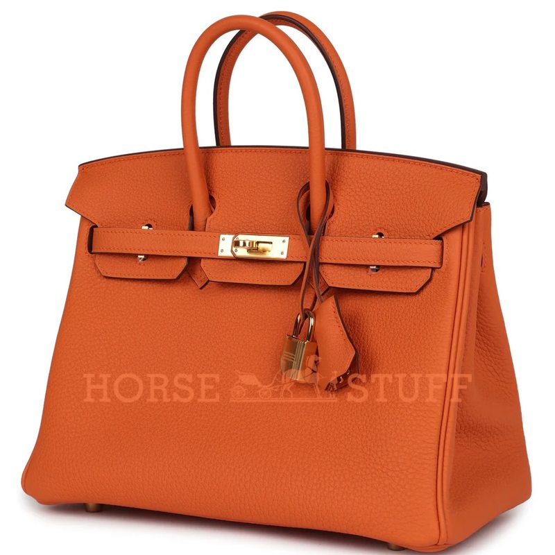 Hermès Birkin 25 Orange Togo GHW