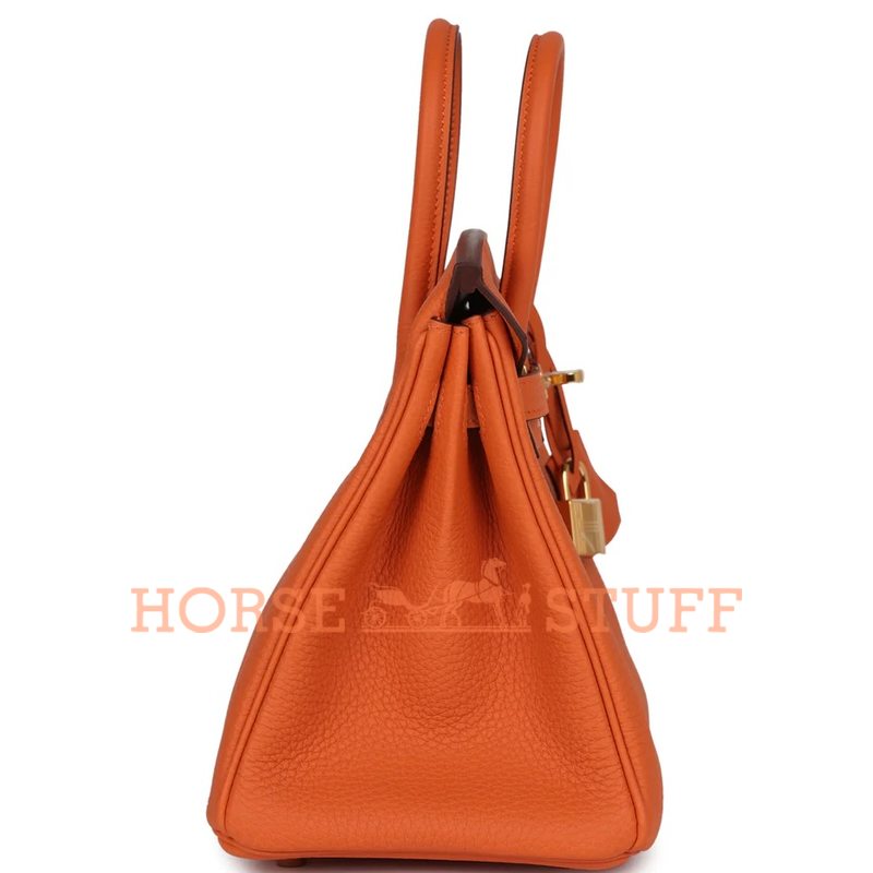 Hermès Birkin 25 Orange Togo GHW