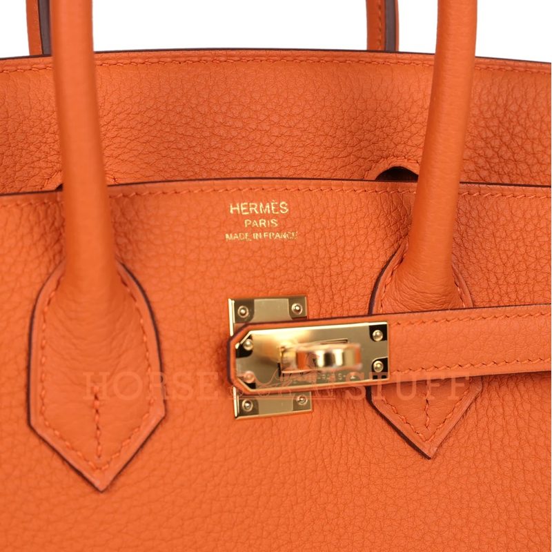 Hermès Birkin 25 Orange Togo GHW