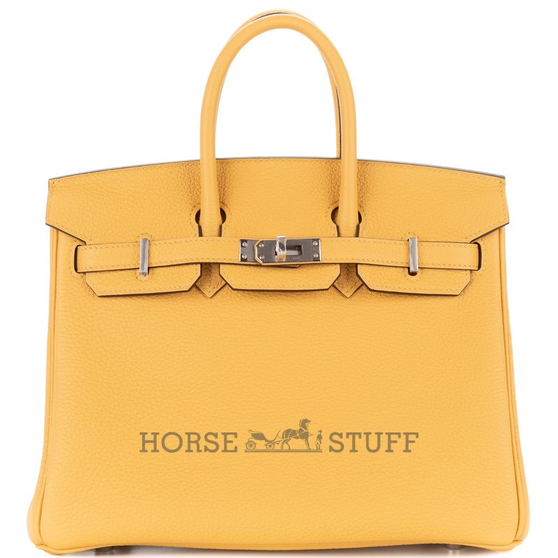 Hermès Birkin 25 Black Togo GHW