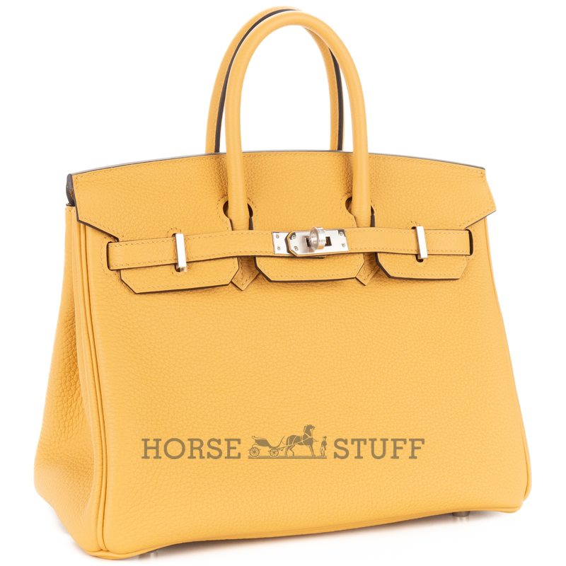 Hermès Birkin 25 Black Togo GHW