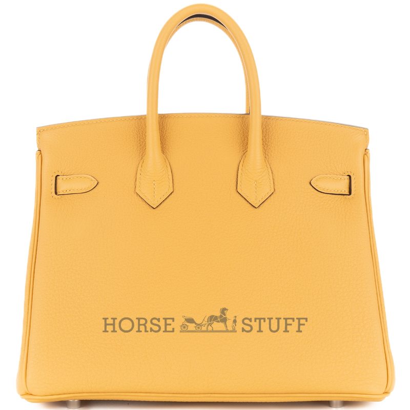 Hermès Birkin 25 Black Togo GHW