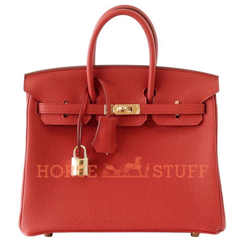 Hermès Birkin 25 Red Vermillion Togo GHW