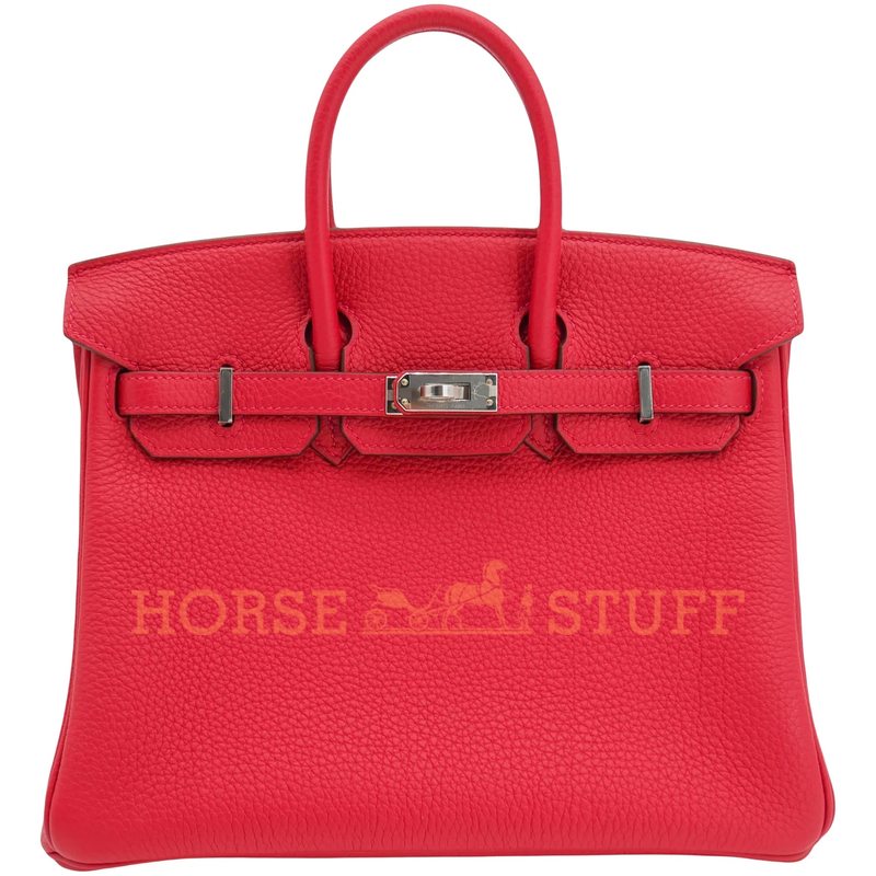 Hermès Birkin 25 Rouge Casaque Togo PHW