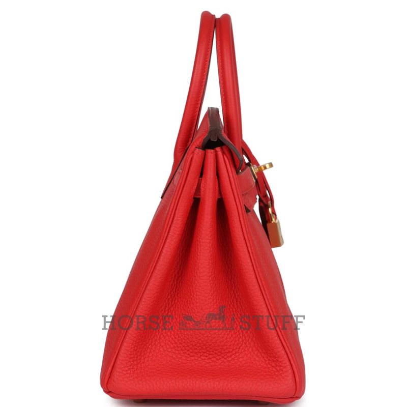 Hermès Birkin 25 Rouge de Coeur Togo GHW