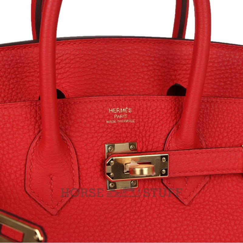 Hermès Birkin 25 Rouge de Coeur Togo GHW