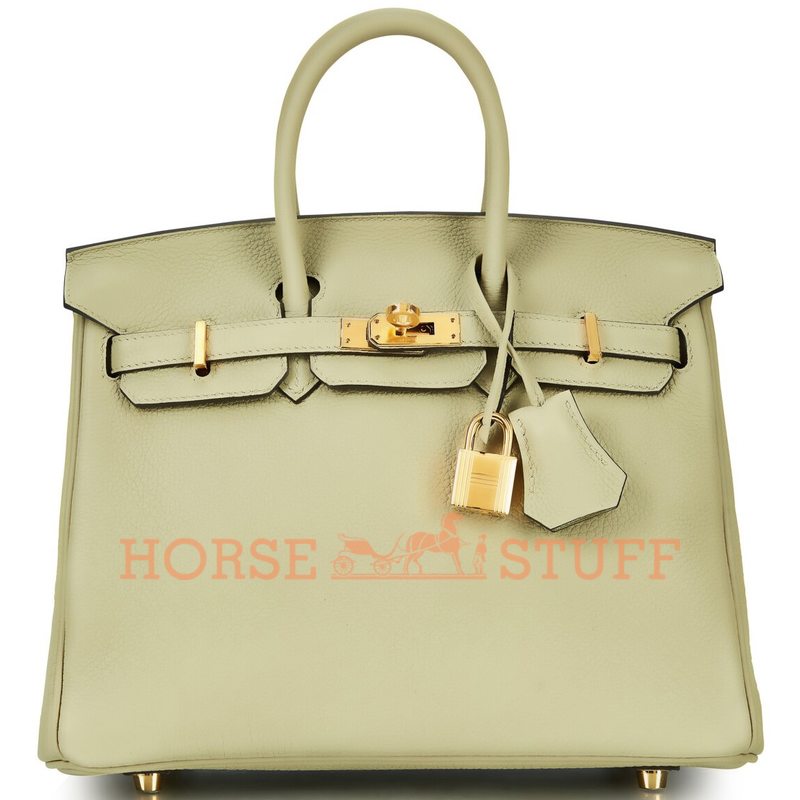 Hermès Birkin 25 Sauge Togo GHW