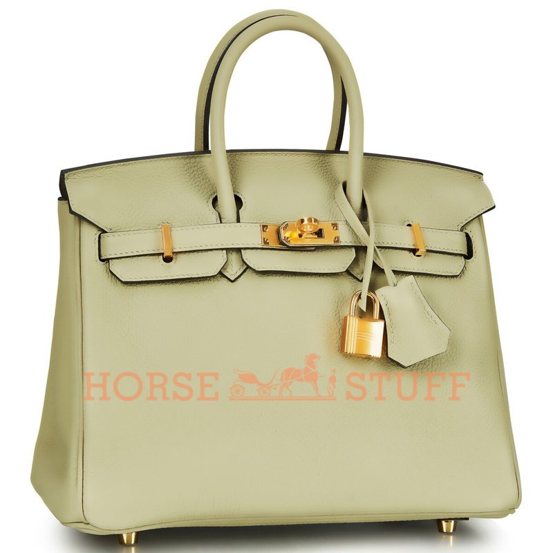 Hermès Birkin 25 Sauge Togo GHW