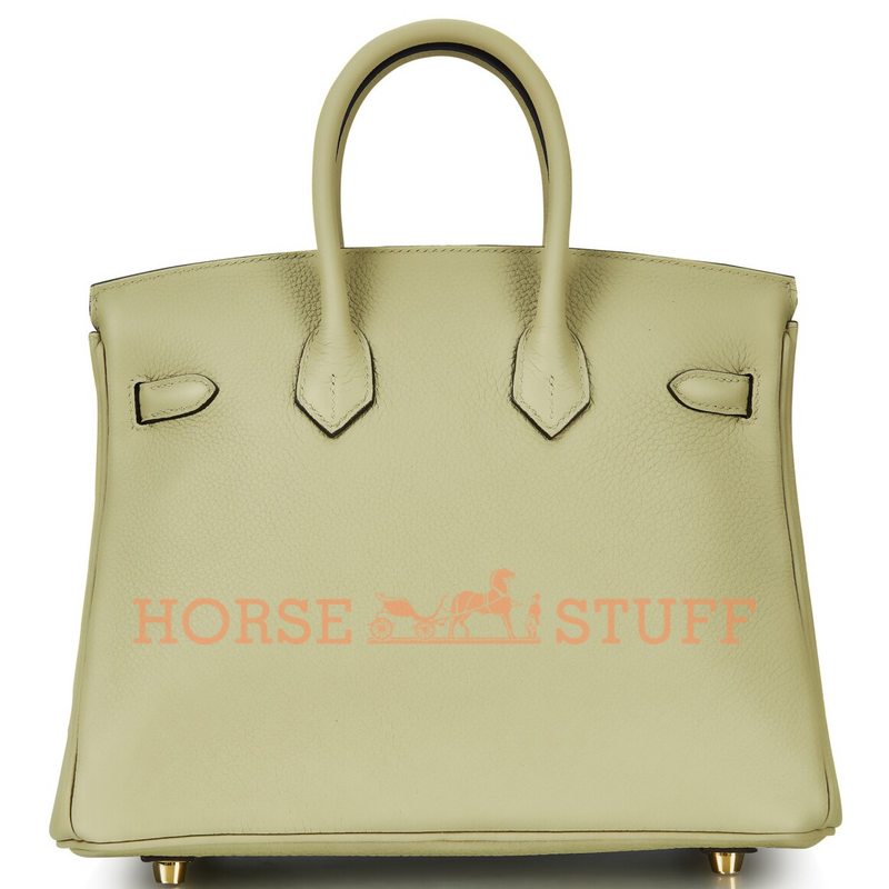 Hermès Birkin 25 Sauge Togo GHW