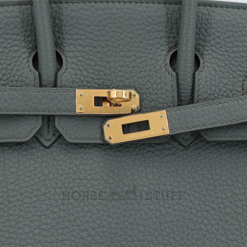 Hermès Birkin 25 Vert Amande Togo GHW