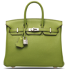 Hermès Birkin 25 Vert Anis Togo PHW