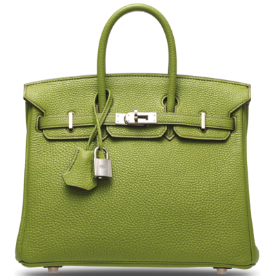 Hermès Birkin 25 Vert Anis Togo PHW