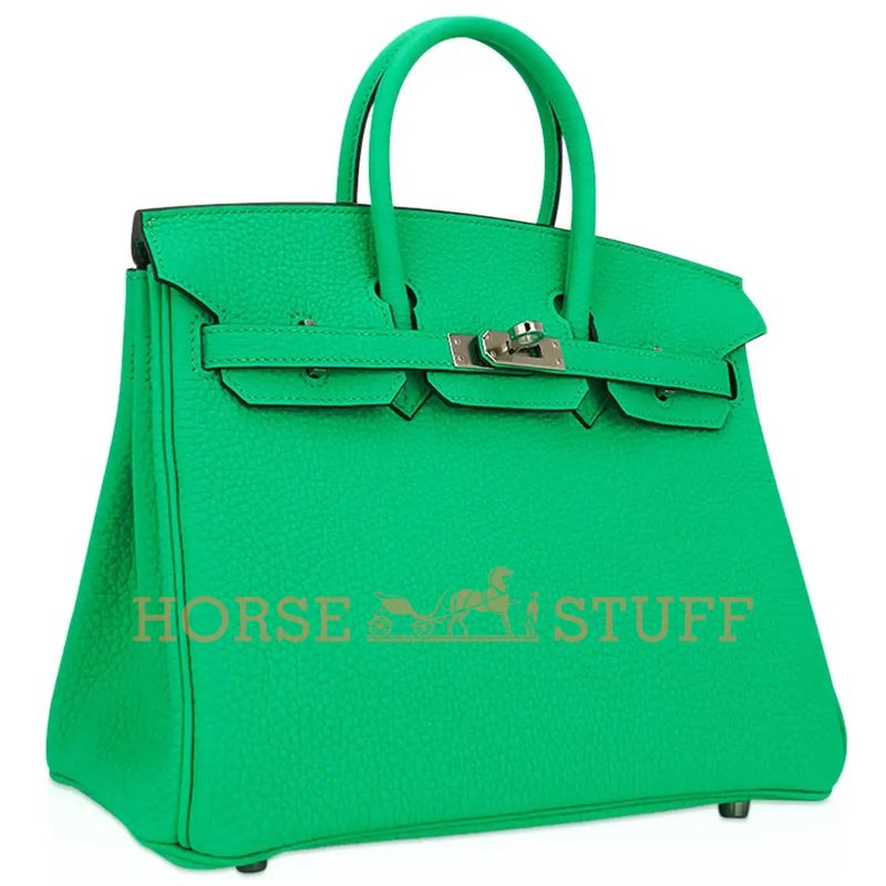 Hermès Birkin 25 Vert Comics Togo PHW