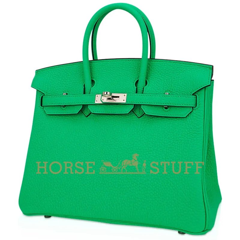 Hermès Birkin 25 Vert Comics Togo PHW