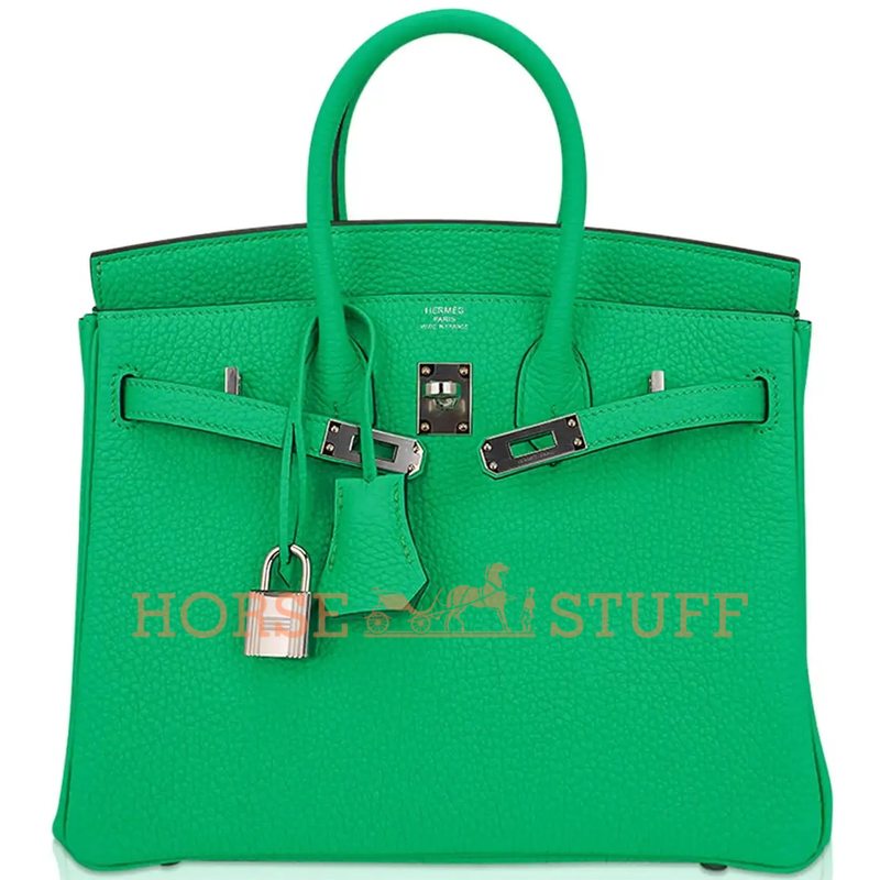 Hermès Birkin 25 Vert Comics Togo PHW