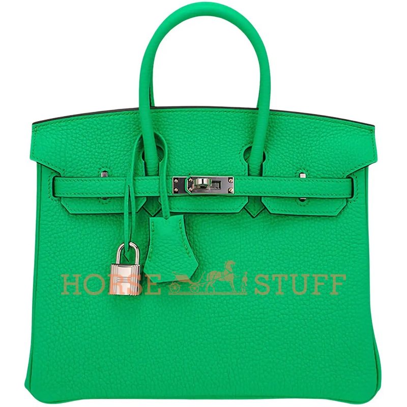 Hermès Birkin 25 Vert Comics Togo PHW