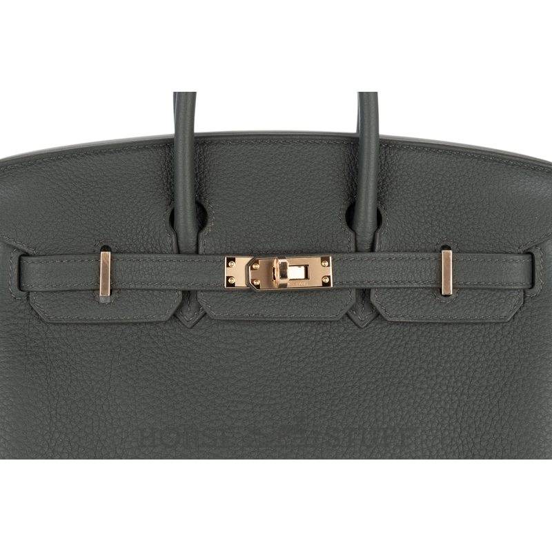 Hermès Birkin 25 Black Togo GHW