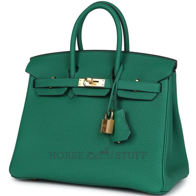 Hermès Birkin 25 Vert Vertigo Togo GHW
