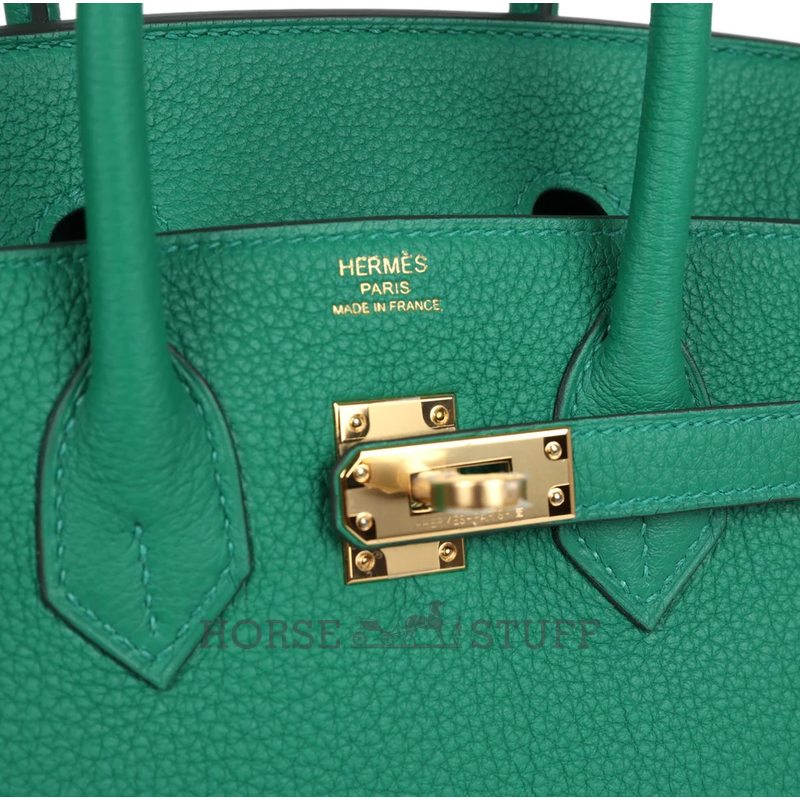Hermès Birkin 25 Vert Vertigo Togo GHW