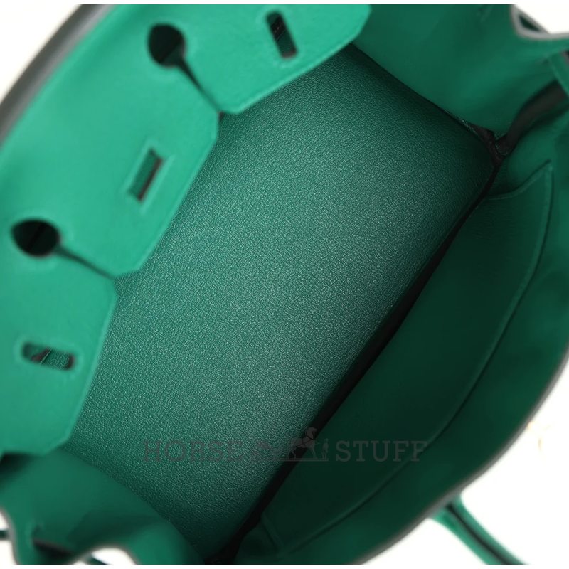 Hermès Birkin 25 Vert Vertigo Togo GHW