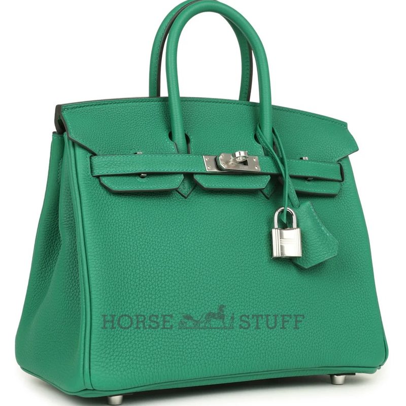 Hermès Birkin 25 Vert Vertigo Togo PHW
