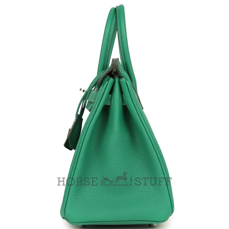 Hermès Birkin 25 Vert Vertigo Togo PHW
