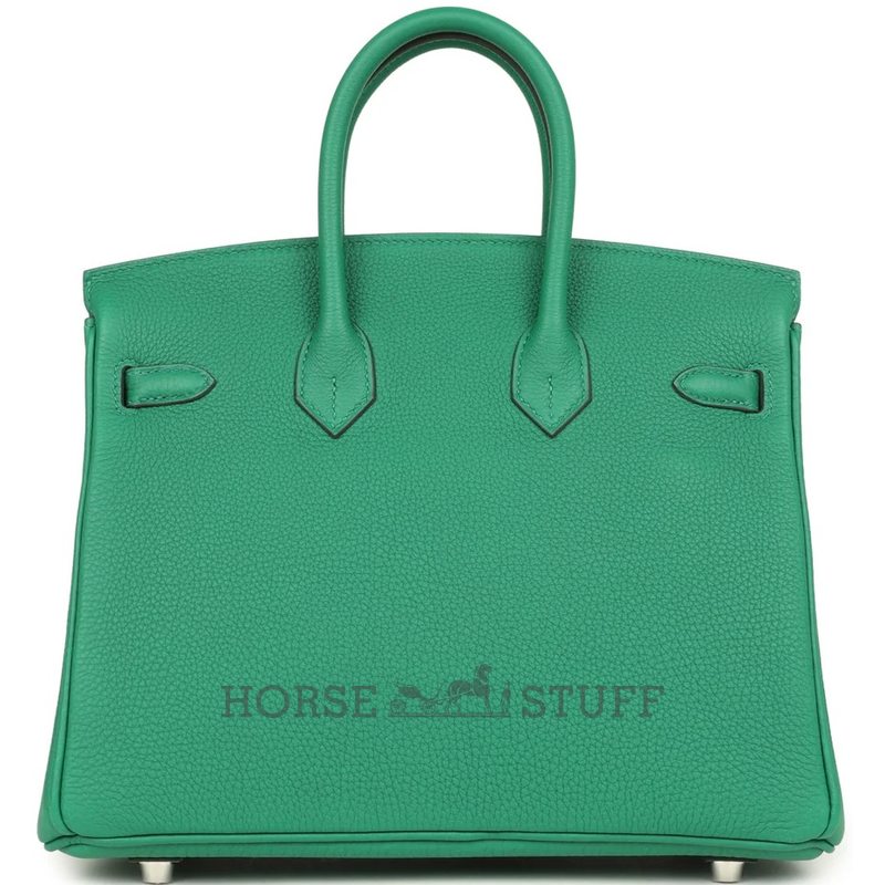 Hermès Birkin 25 Vert Vertigo Togo PHW
