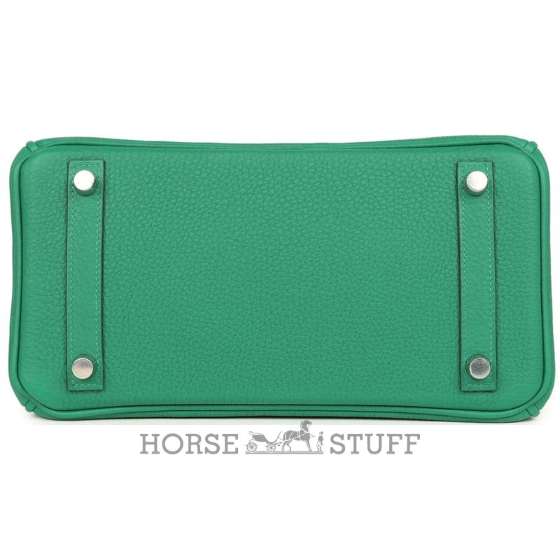 Hermès Birkin 25 Vert Vertigo Togo PHW