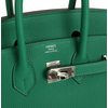 Hermès Birkin 25 Vert Vertigo Togo PHW