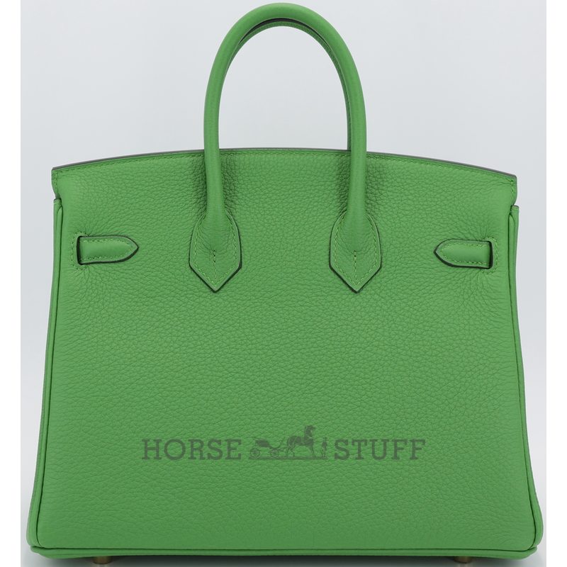 Hermès Birkin 25 Vert Yucca Togo GHW