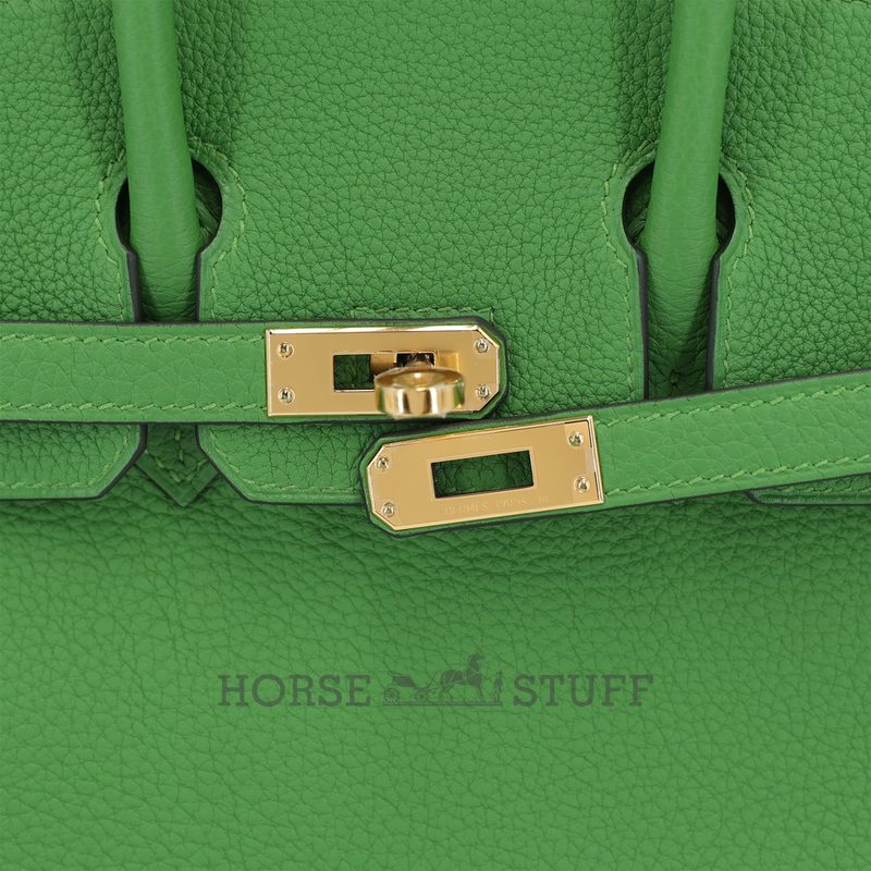 Hermès Birkin 25 Vert Yucca Togo GHW