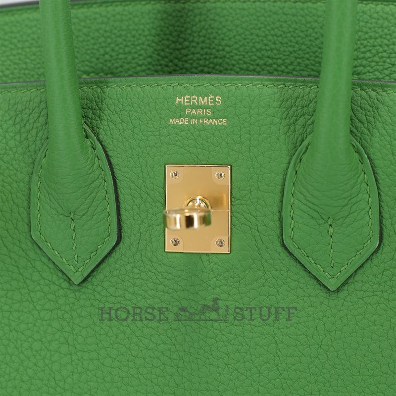 Hermès Birkin 25 Vert Yucca Togo GHW