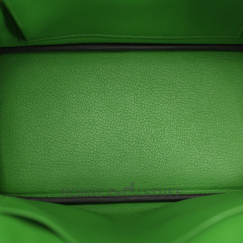 Hermès Birkin 25 Vert Yucca Togo GHW