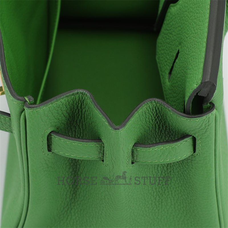 Hermès Birkin 25 Vert Yucca Togo GHW