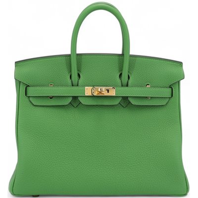 Hermès Birkin 25 Vert Yucca Togo GHW