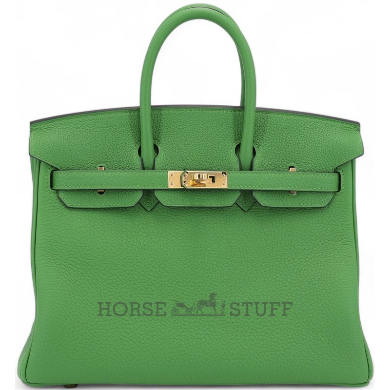 Hermès Birkin 25 Vert Yucca Togo GHW
