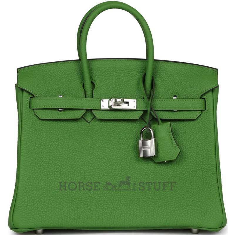 Hermès Birkin 25 Vert Yucca Togo PHW
